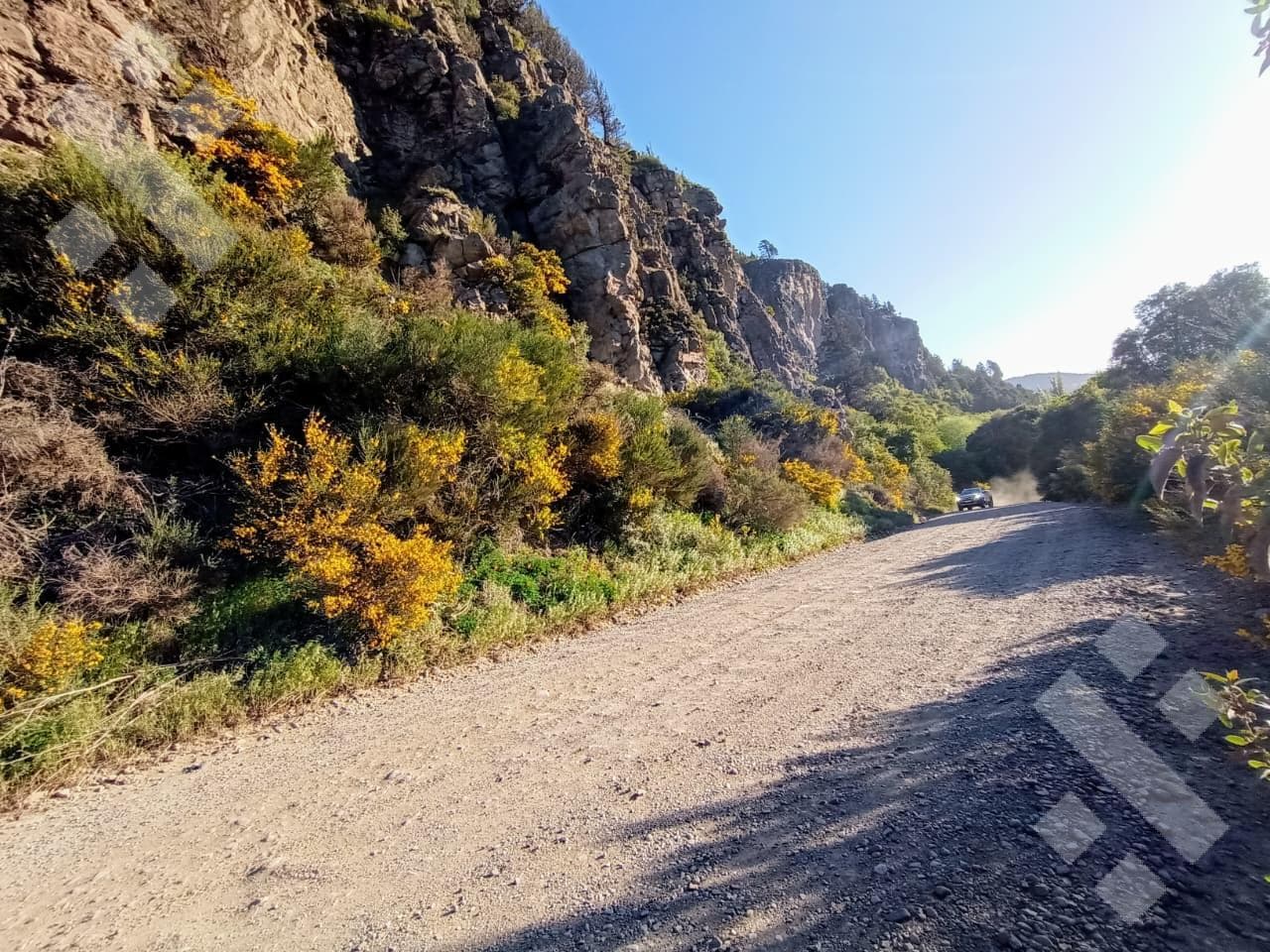 Lot for Sale: 1,000 m² in Los Ricos, San Martín de los Andes
