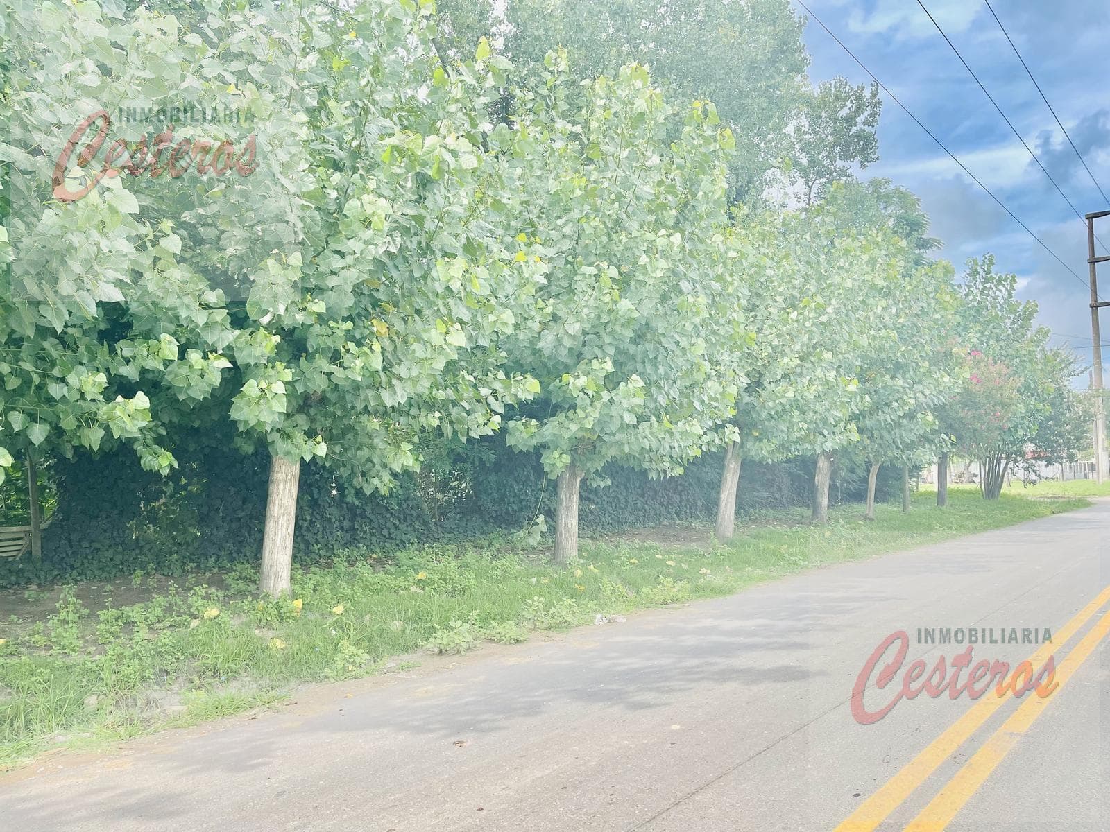 810-square-meter wooded lot at the corner of San Juan and Bolivia Streets