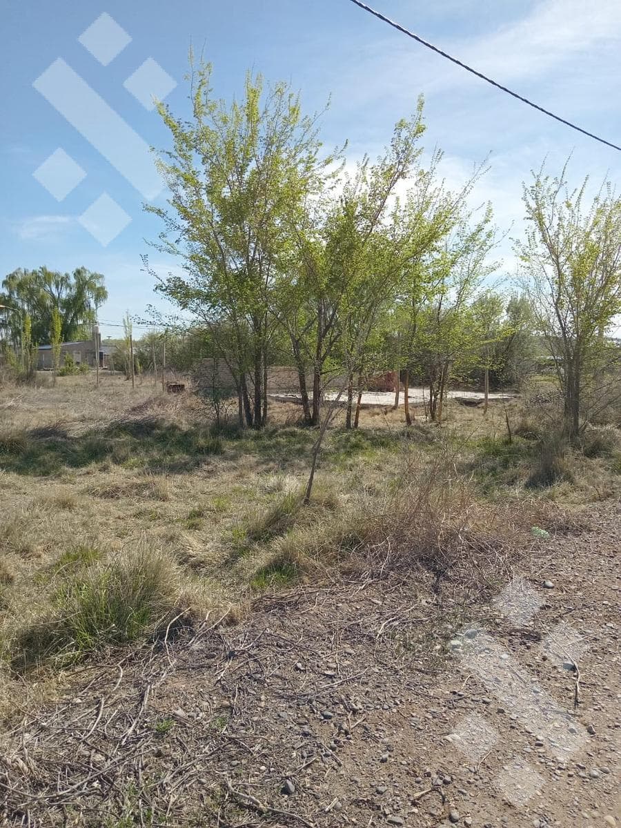 Land in Cinco Saltos