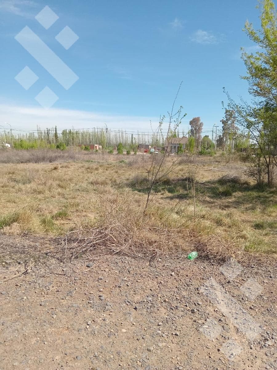 Land in Cinco Saltos