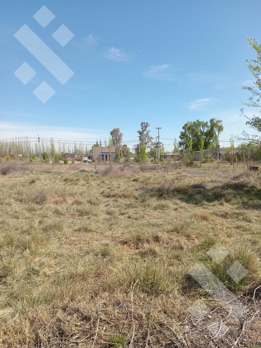 Land in Cinco Saltos