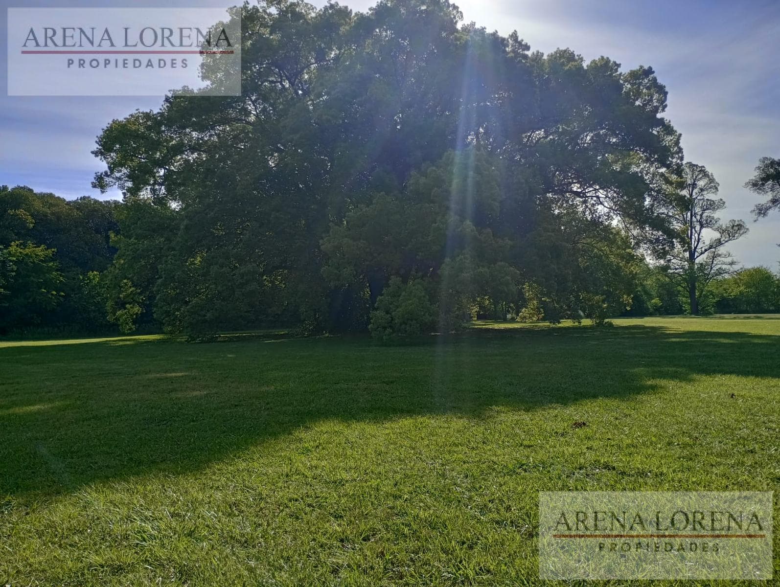 Land for sale: 25,000 m²