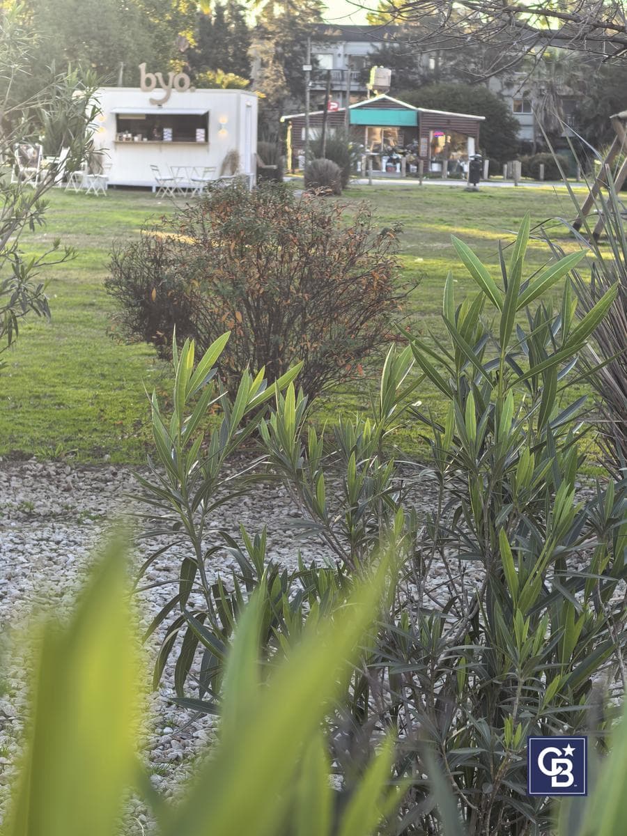 Ideal Investment: Covered Parking Space for Sale at the Pueblo Caamaño Shopping Center, Pilar
