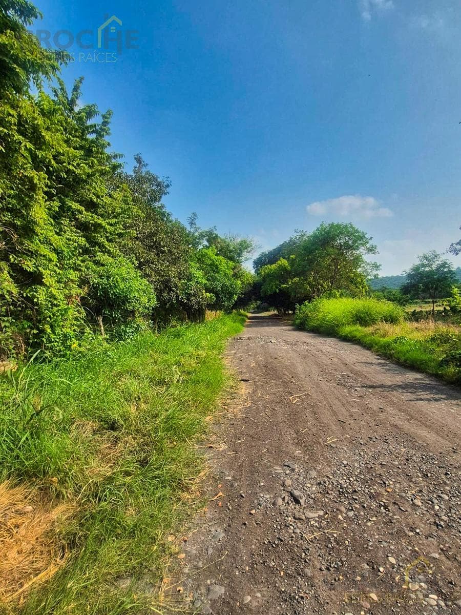 Land for Sale in La Esperanza, Actopan, Veracruz