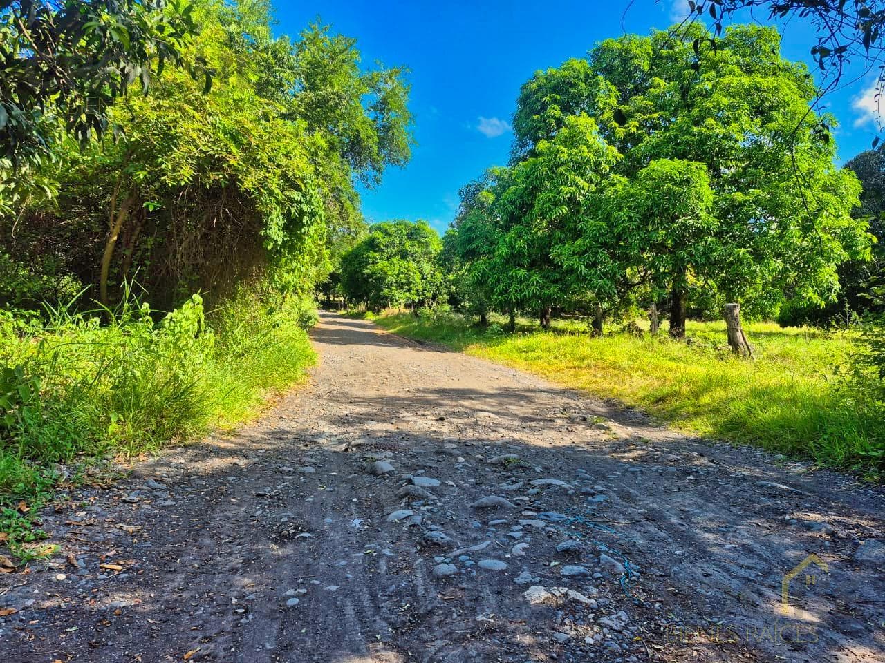 Land for Sale in La Esperanza, Actopan, Veracruz