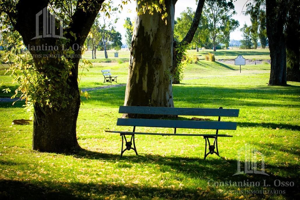 La Victoria Lot, Area 60, La Plata