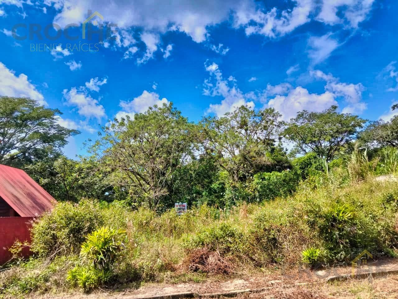 Land for Sale in La Estanzuela, Veracruz: 11,123 m²