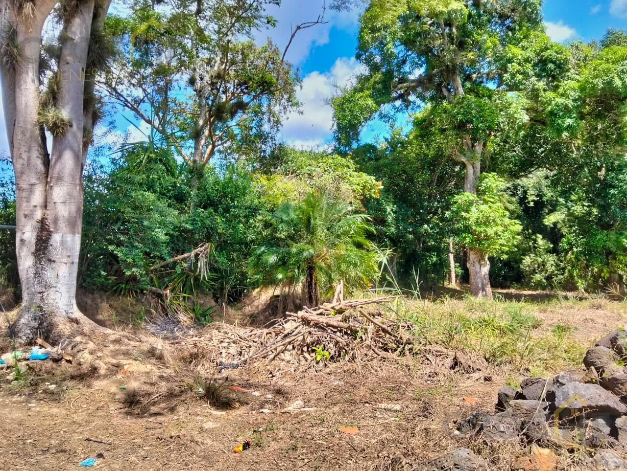 Land for Sale in La Estanzuela, Veracruz: 11,123 m²