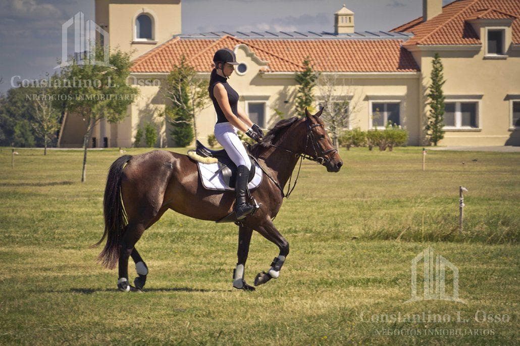 La Reserva Escondida Subdivision, Area 60, Brandsen