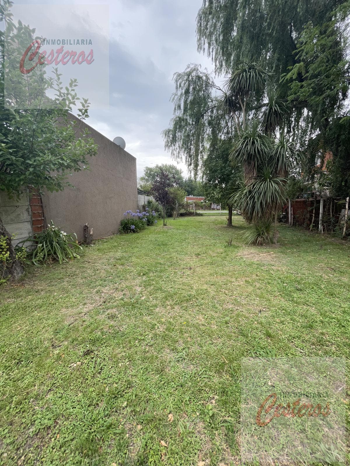 Lot on Alejandro Magno Street between Charcas and Piedras Streets.