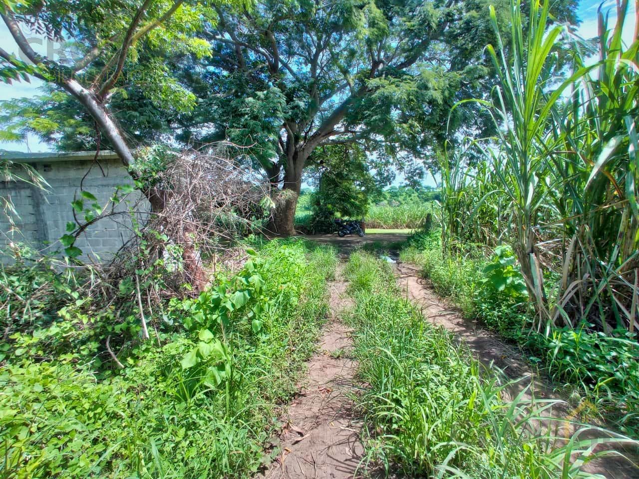 Land for Sale in Paso de Doña Juana, Veracruz