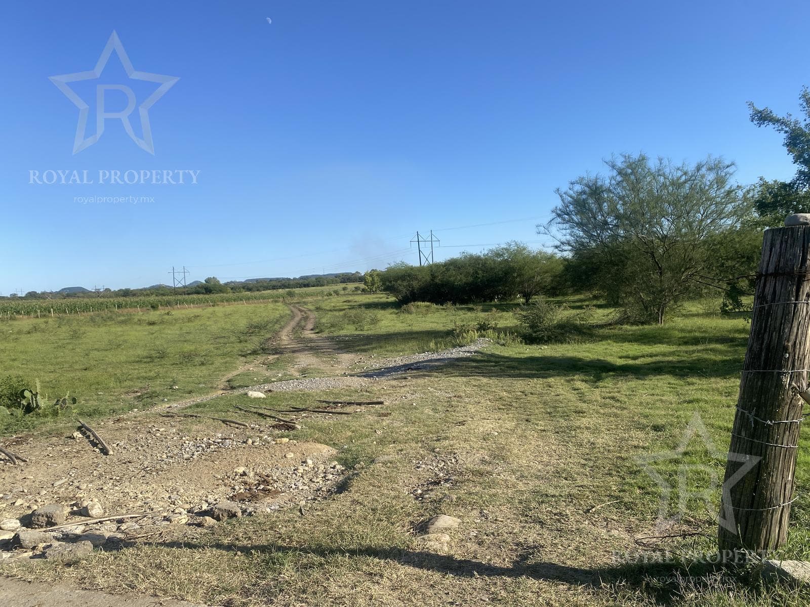 Land in Zaragoza