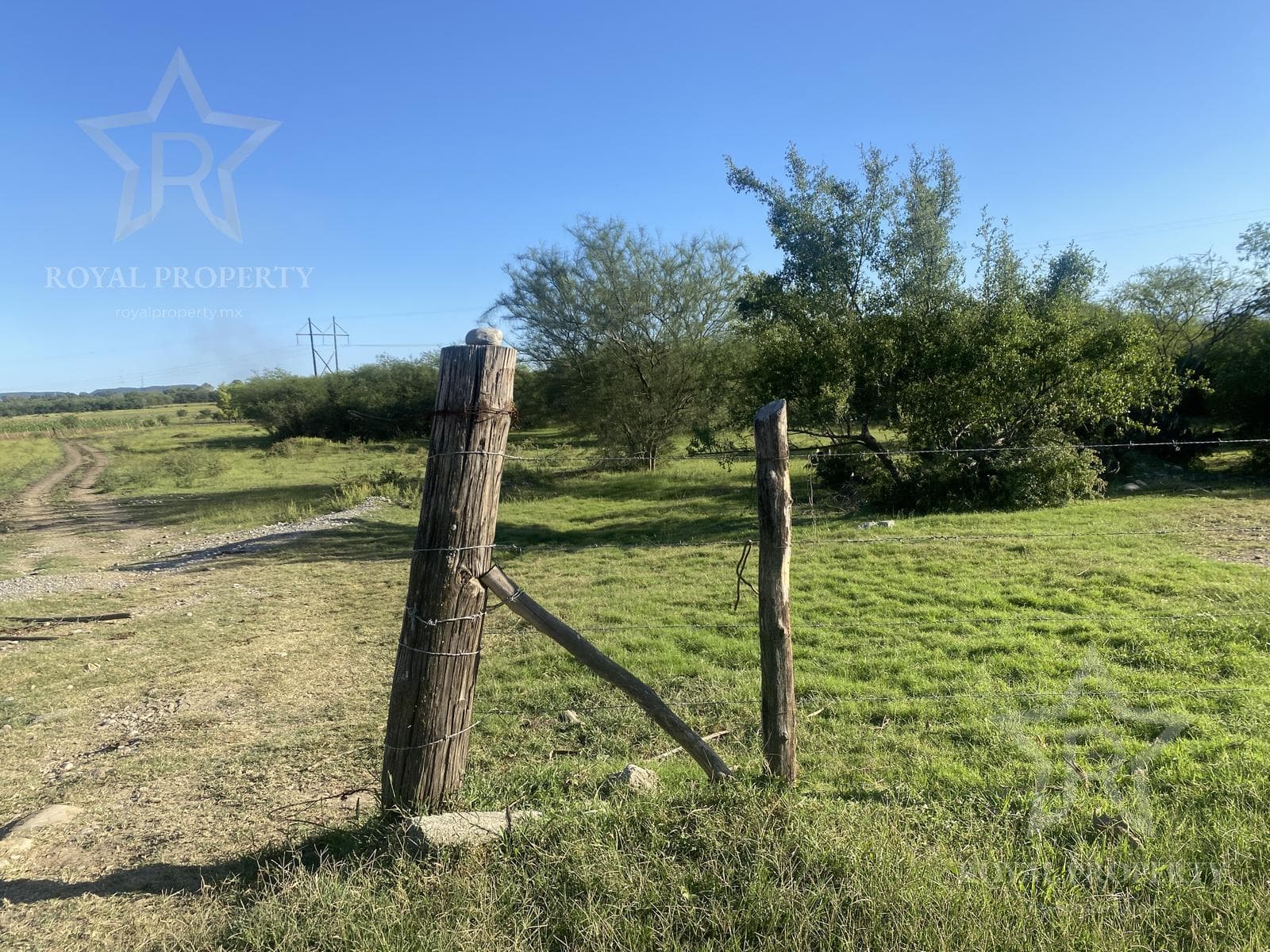 Land in Zaragoza
