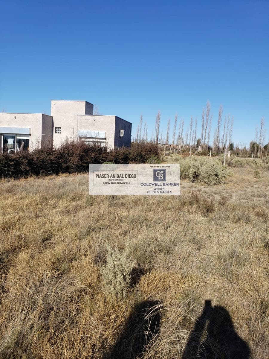 Land in San Rafael