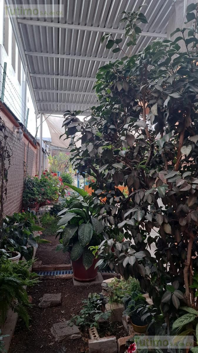 Mixed-Use Building, Zitácuaro, Michoacán