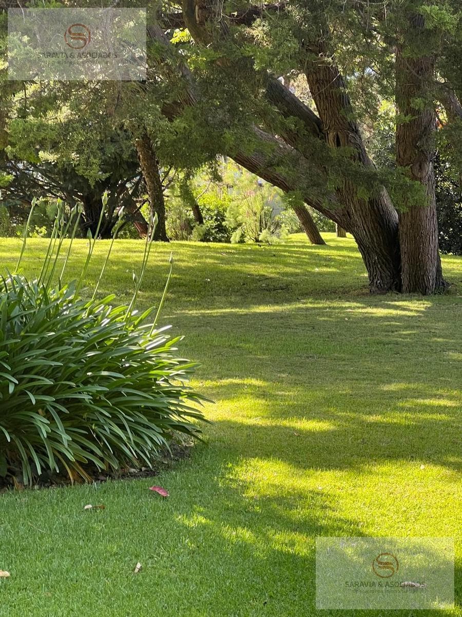 House for Rent, 5 Bedrooms, Punta del Este