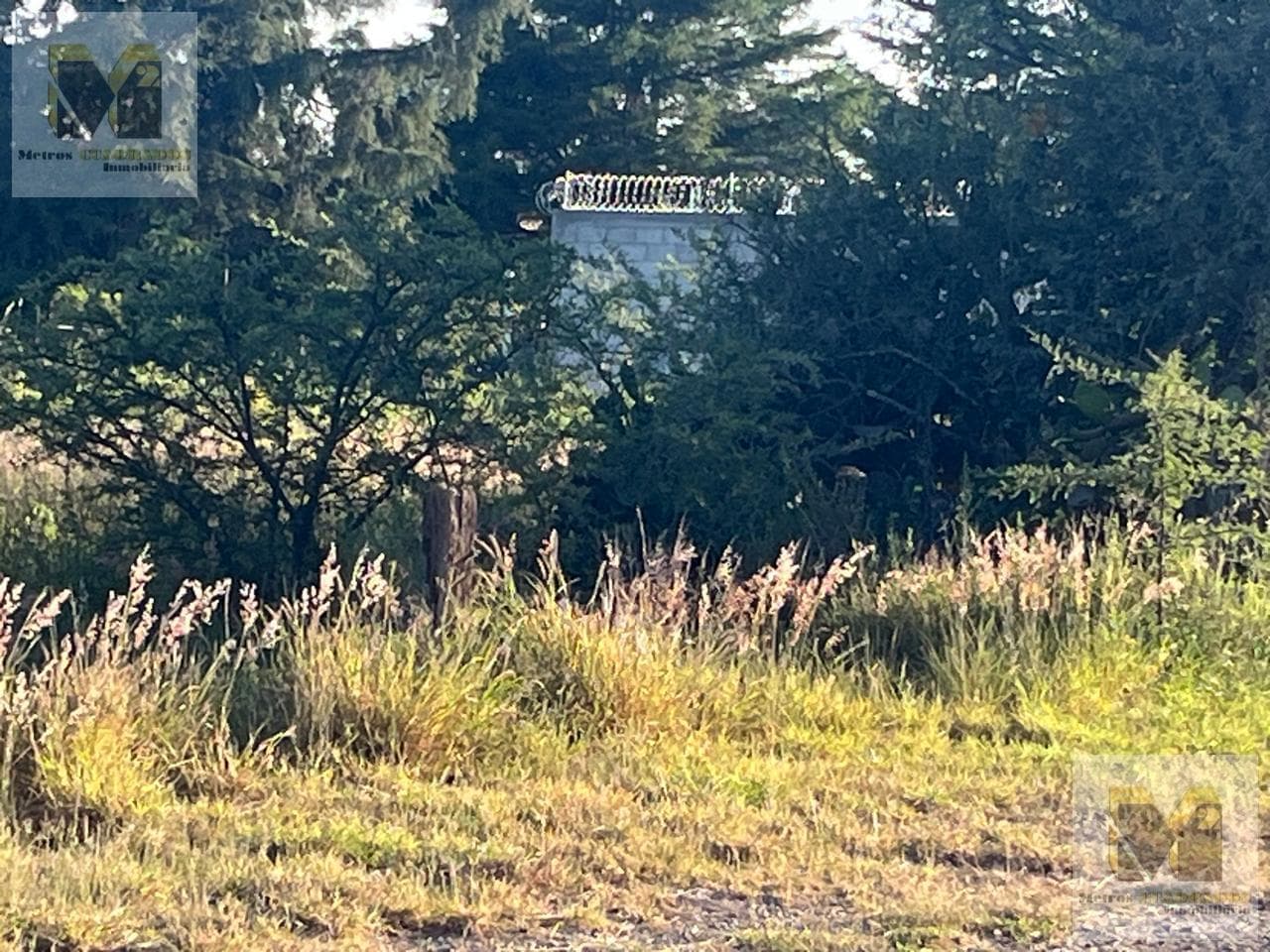 HECTARES FOR SALE IN PUERTA SAN RAFAEL, CORREGIDORA, QUERÉTARO