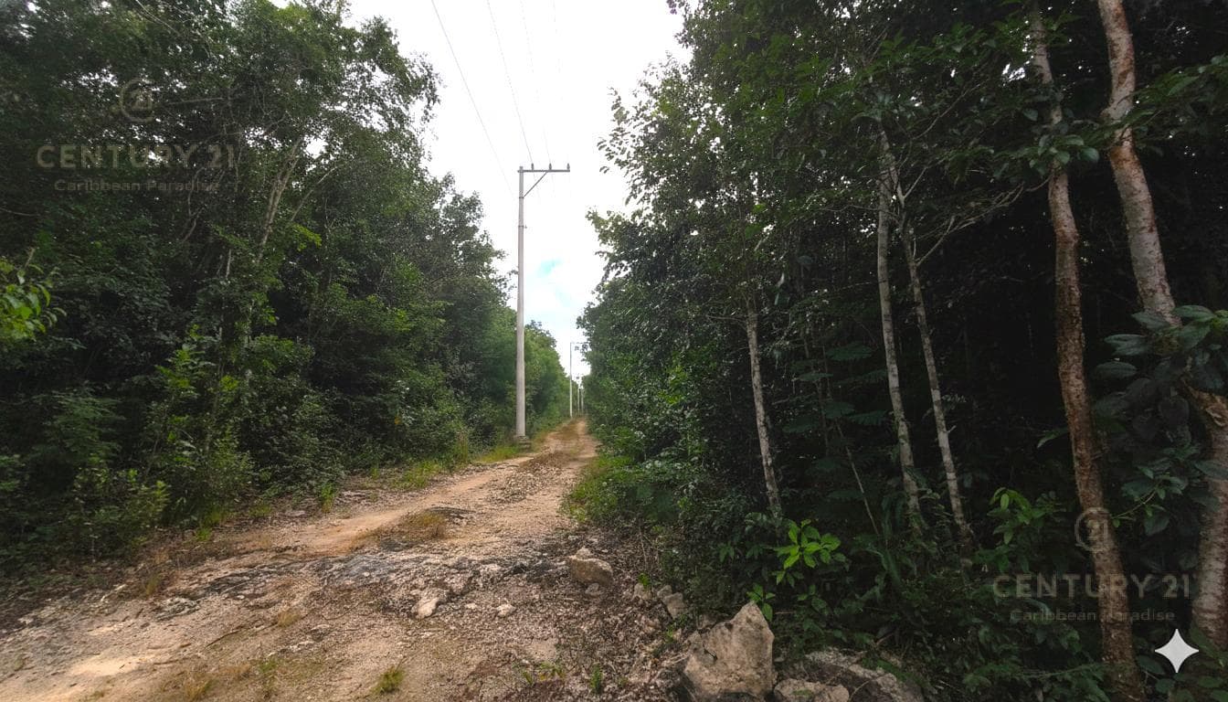 8,463 m² lot for sale on Ruta de los Cenotes, Km 6, Puerto Morelos, P4518