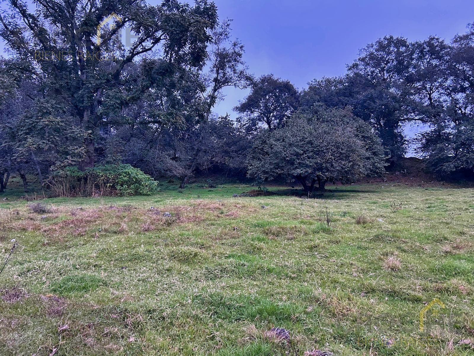 Land for Sale in Jilotepec, Veracruz: Piedra de Agua, Tlacolulan