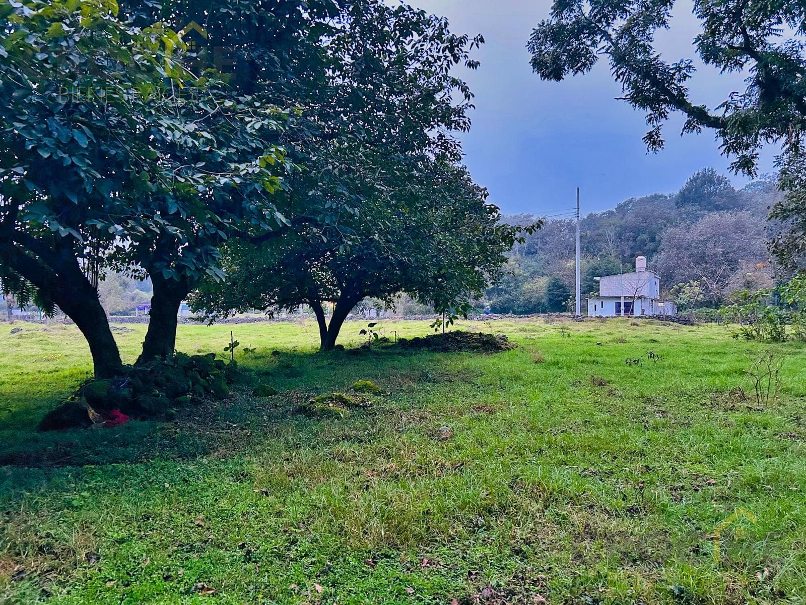 Land for Sale in Jilotepec, Veracruz: Piedra de Agua, Tlacolulan