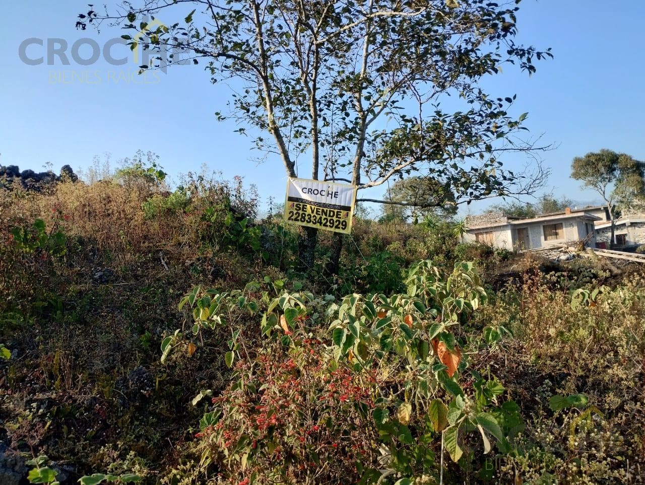 Land for Sale in El Fresno, Tlacolulan, Veracruz—Property