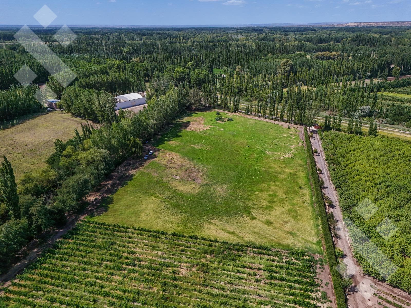 Lot in Centenario