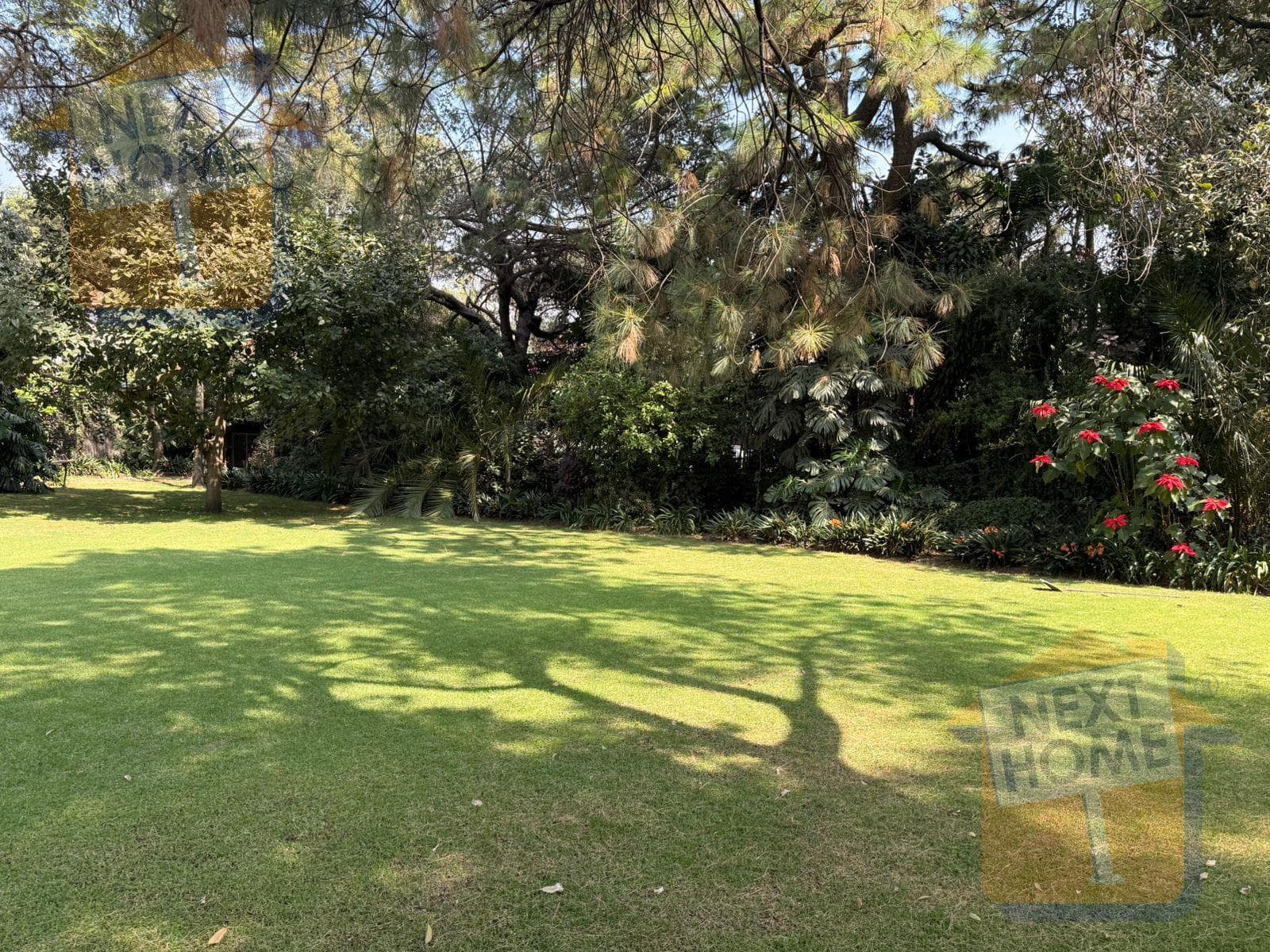 LAND FOR SALE IN SAN ANGEL
