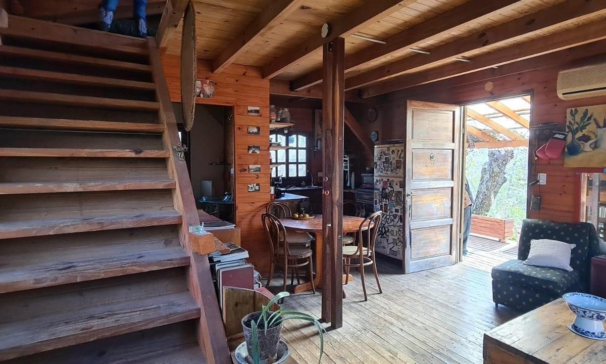 Tigre Delta House