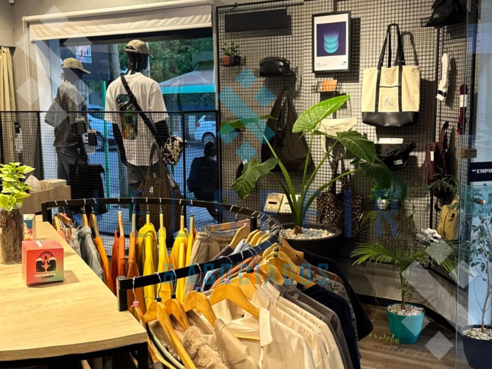 For Sale: Business, Downtown Cipolletti