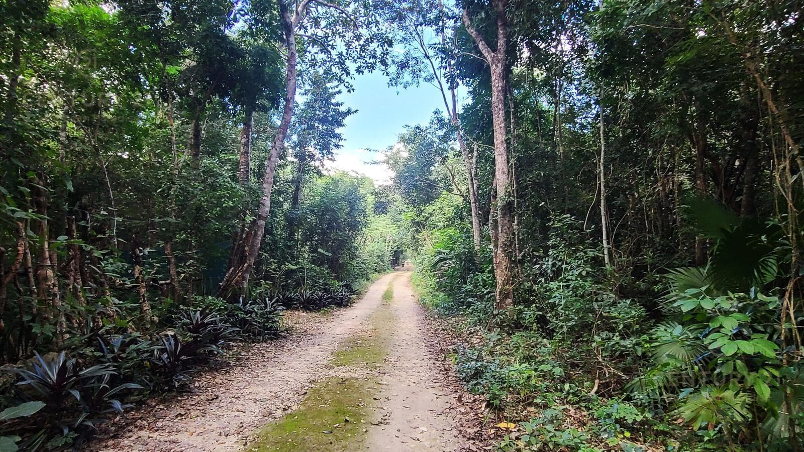 8,419 m² lot on Ruta de los Cenotes, Km 17, Puerto Morelos, P4517