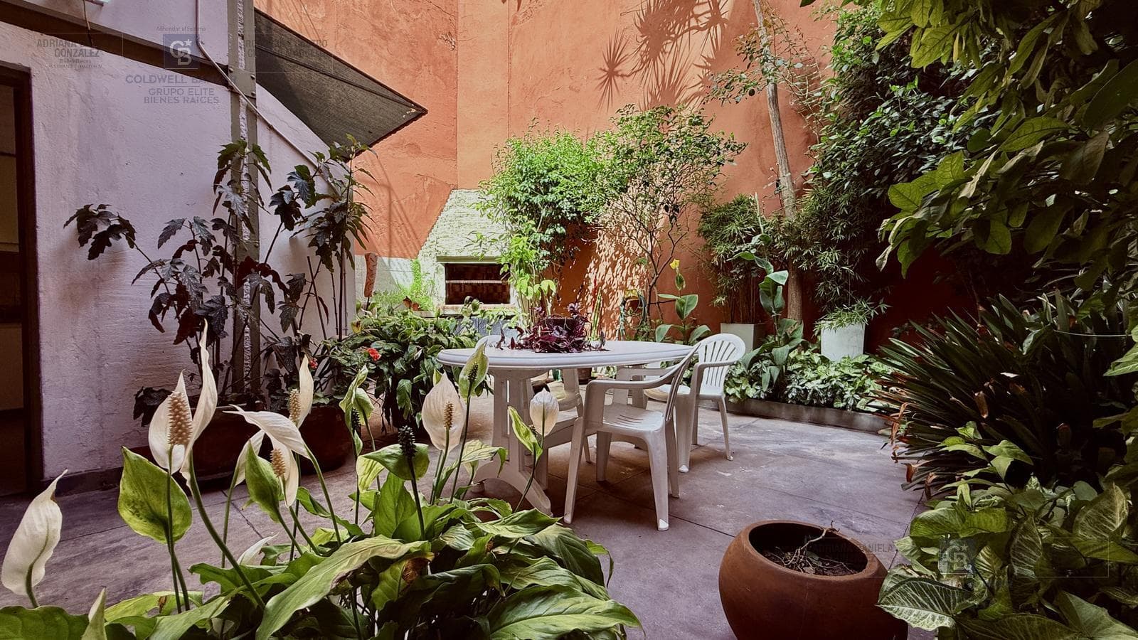 VENTA CASA 6 AMBIENTES DEPENDENCIA COCHERA VILLA CRESPO