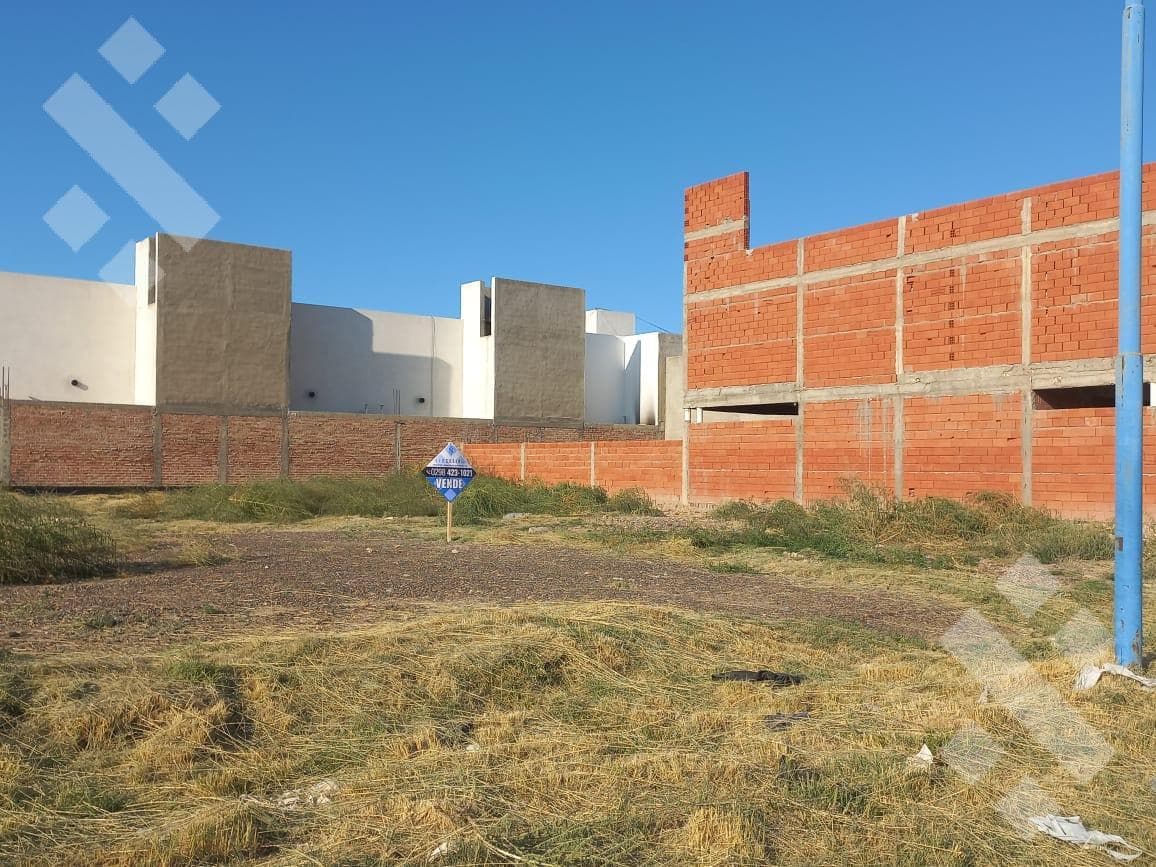PLOTS FOR SALE: 290 m² - VERDECCHIA NEIGHBORHOOD, GENERAL ROCA