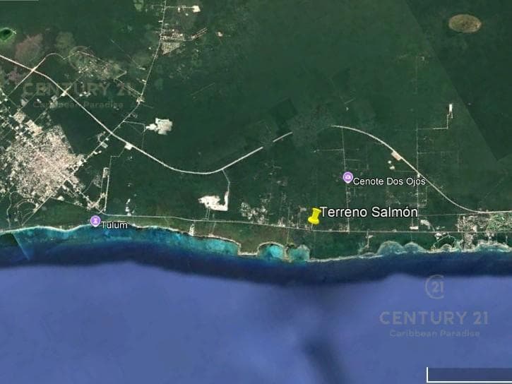 Land for Sale Along the Highway, 10 Minutes from Tulum
