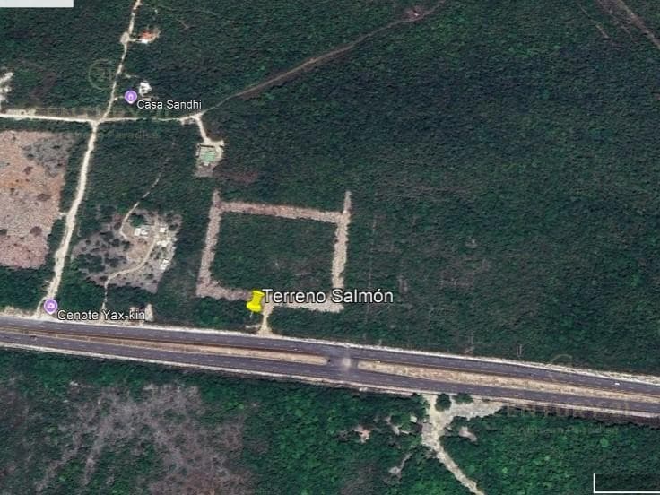 Land for Sale Along the Highway, 10 Minutes from Tulum
