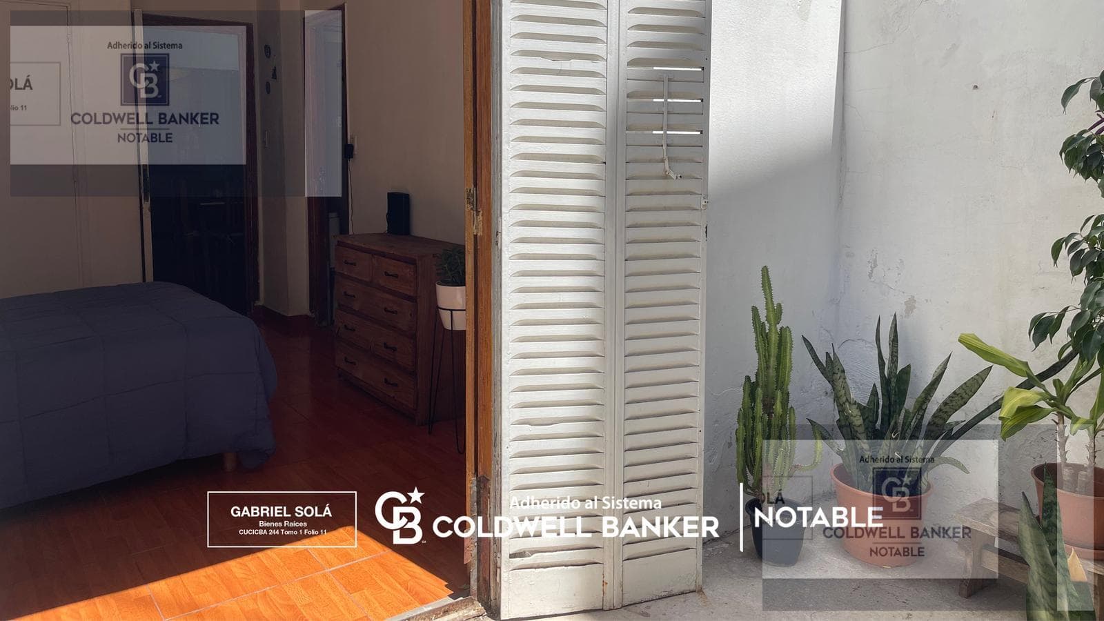 2-room apartment for sale in Charcas 4700