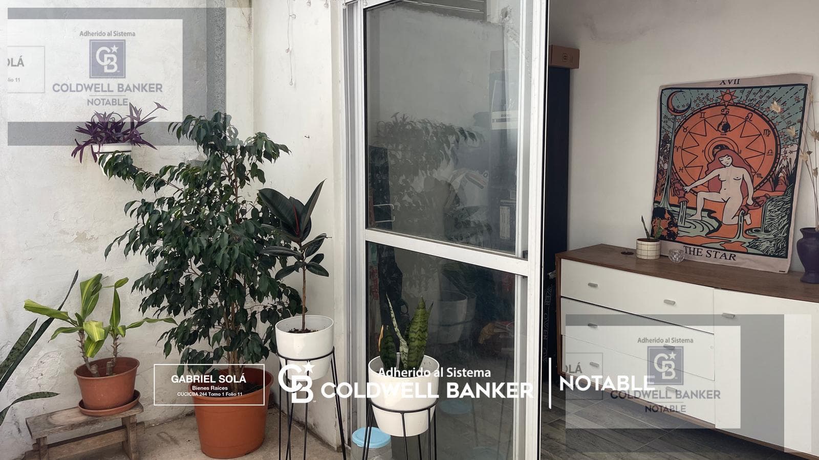 2-room apartment for sale in Charcas 4700