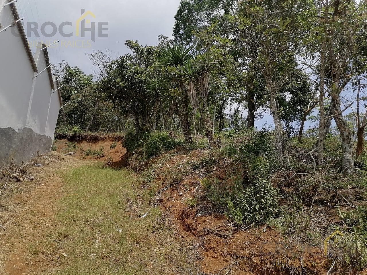 Land for Sale in Mártires de Chicago, Xalapa, Veracruz