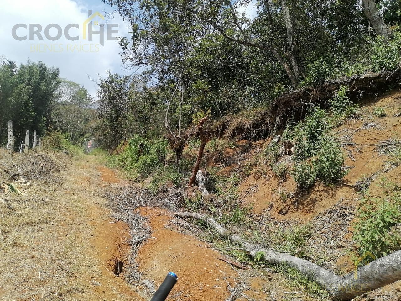 Land for Sale in Mártires de Chicago, Xalapa, Veracruz