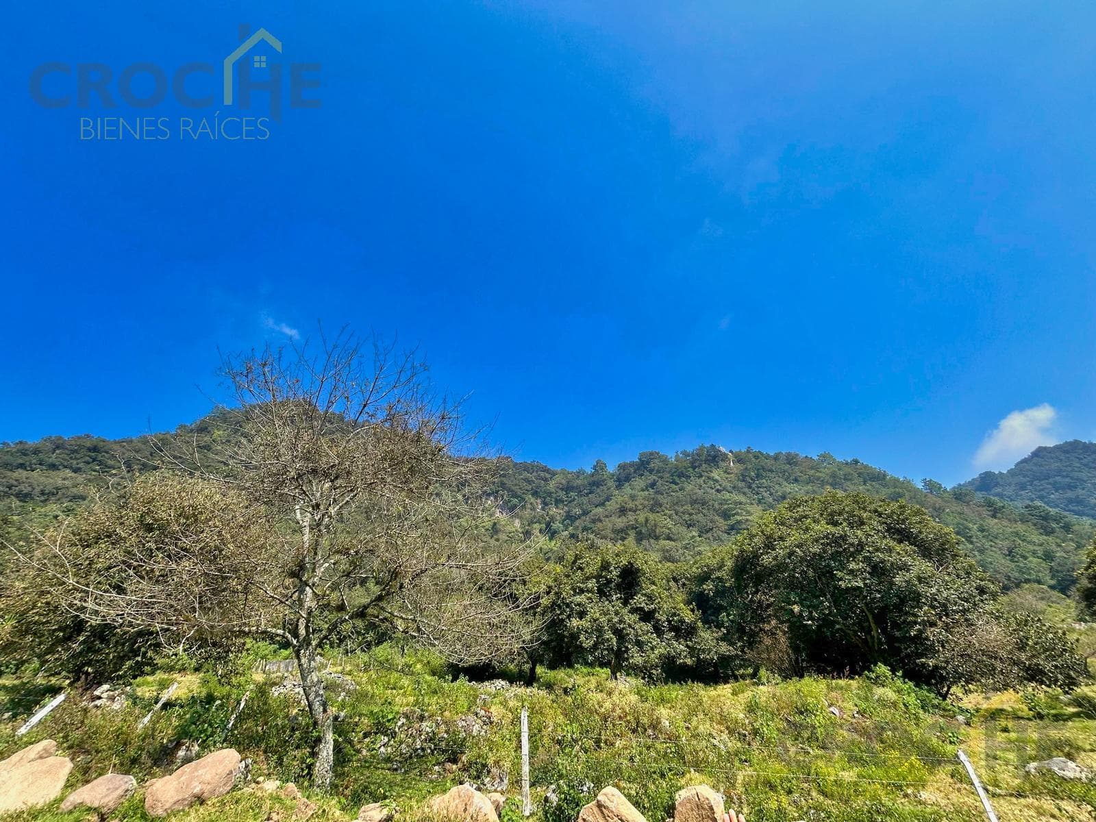 Residential Lots for Sale in Tlacolulan, Veracruz