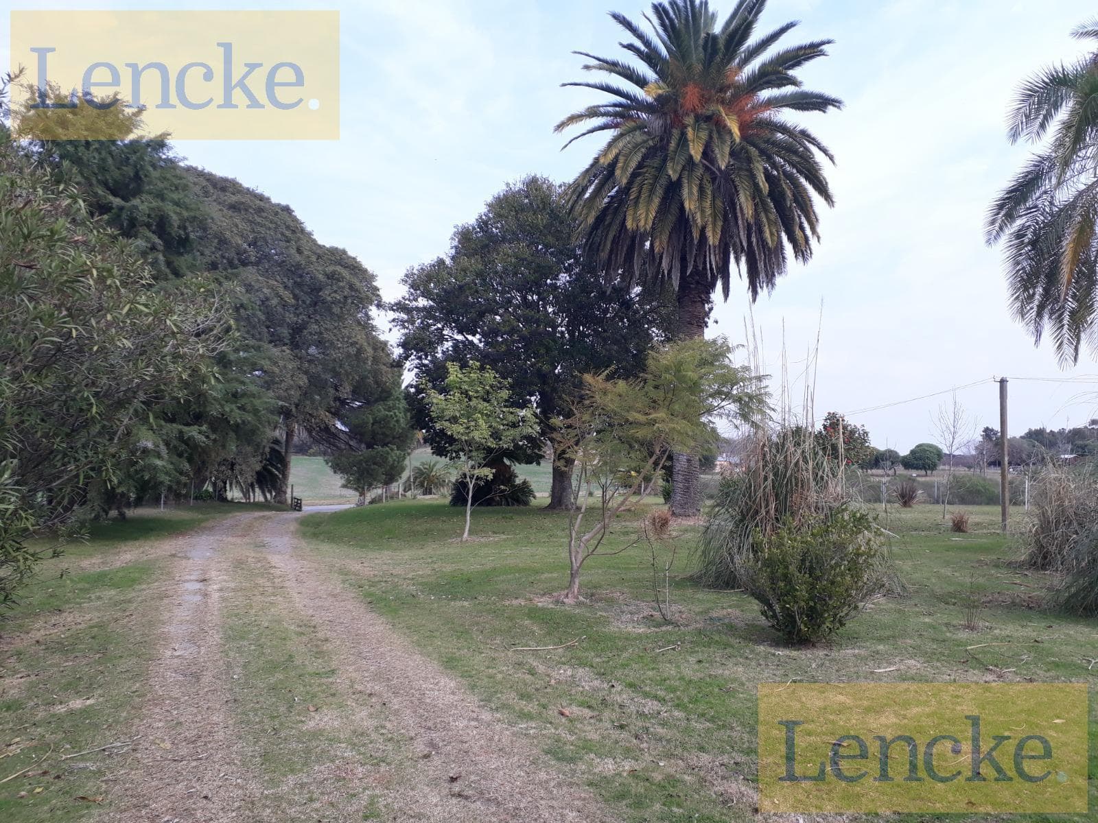 House in Juan Gonzalez