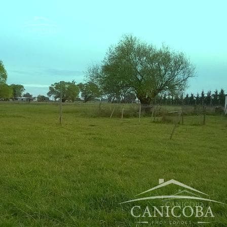 Land in Coronel Vidal