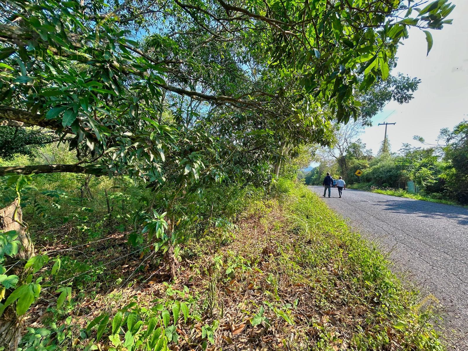Land for Sale in Apazapan, Veracruz: 5 hectares