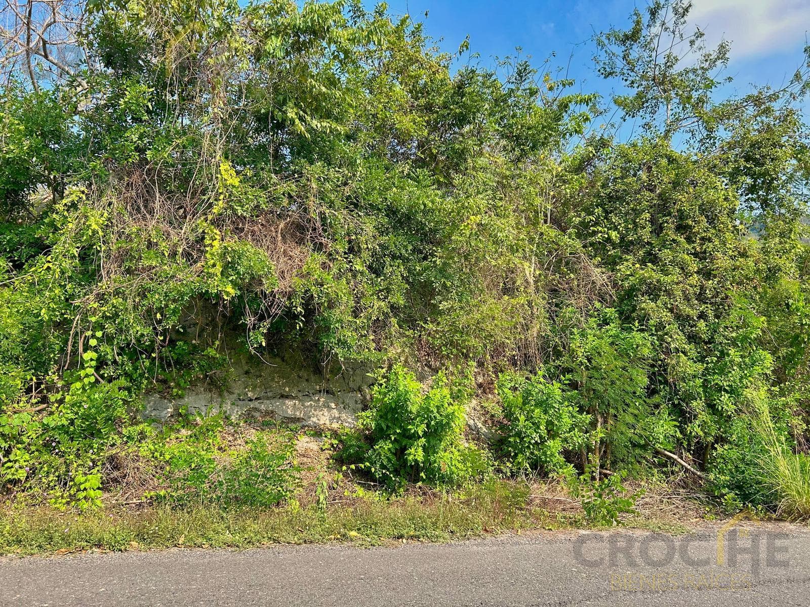 Land for Sale in Apazapan, Veracruz: 5 hectares