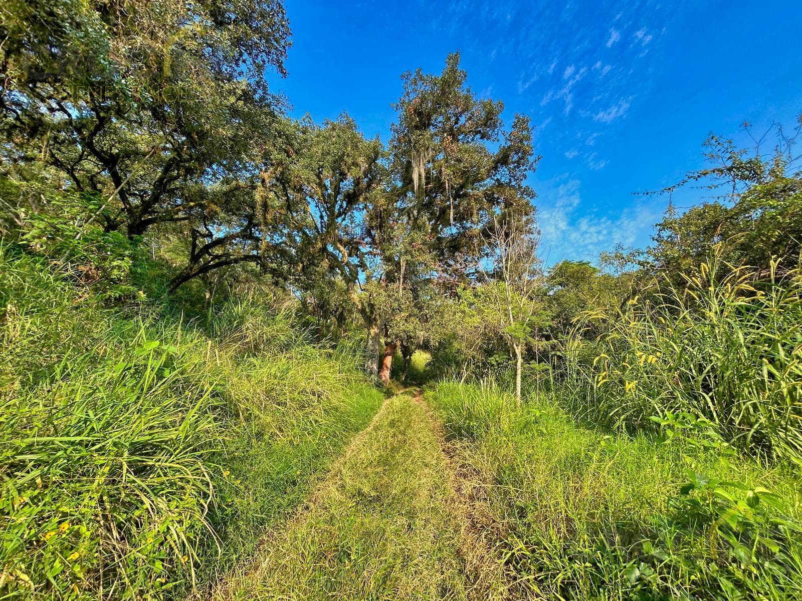 Land for Sale in Miahuatlán, Veracruz: 5.5 hectares