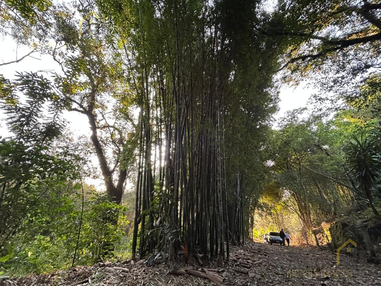 1,500 m² for sale on the road to Chopantla, Coatepec, Veracruz