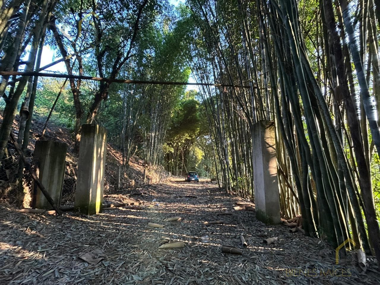 1,500 m² for sale on the road to Chopantla, Coatepec, Veracruz