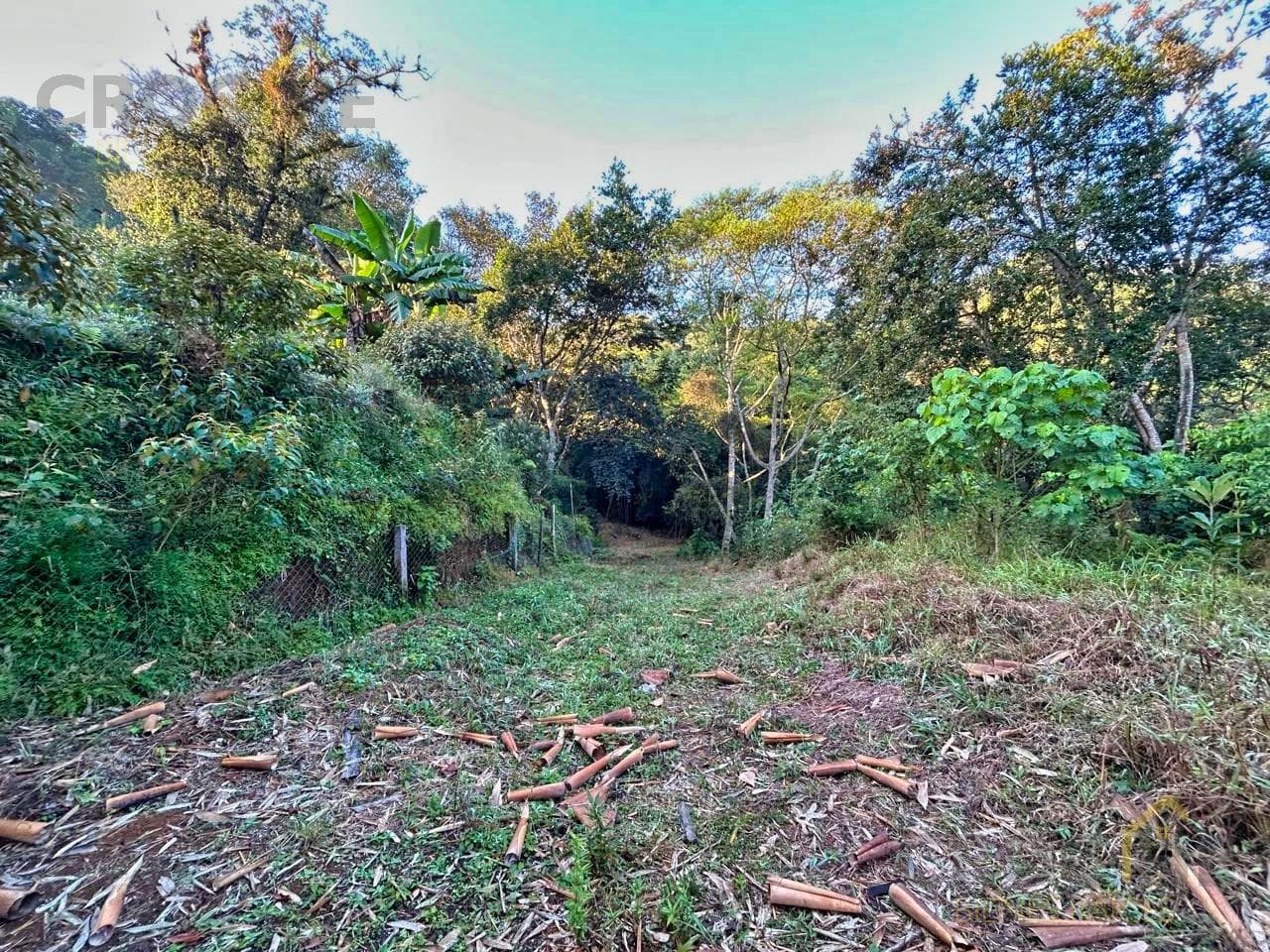 2,298 m² for sale on the road to Chopantla, Coatepec, Veracruz