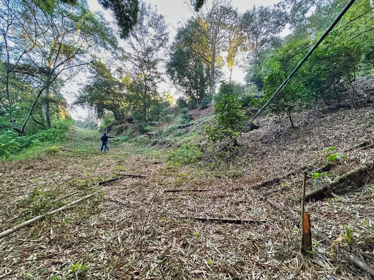 2,298 m² for sale on the road to Chopantla, Coatepec, Veracruz