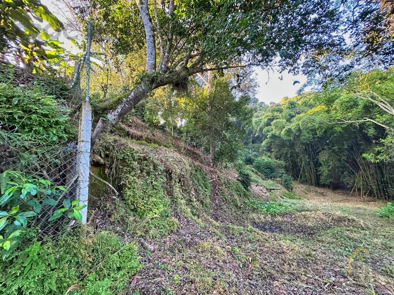 2,298 m² for sale on the road to Chopantla, Coatepec, Veracruz