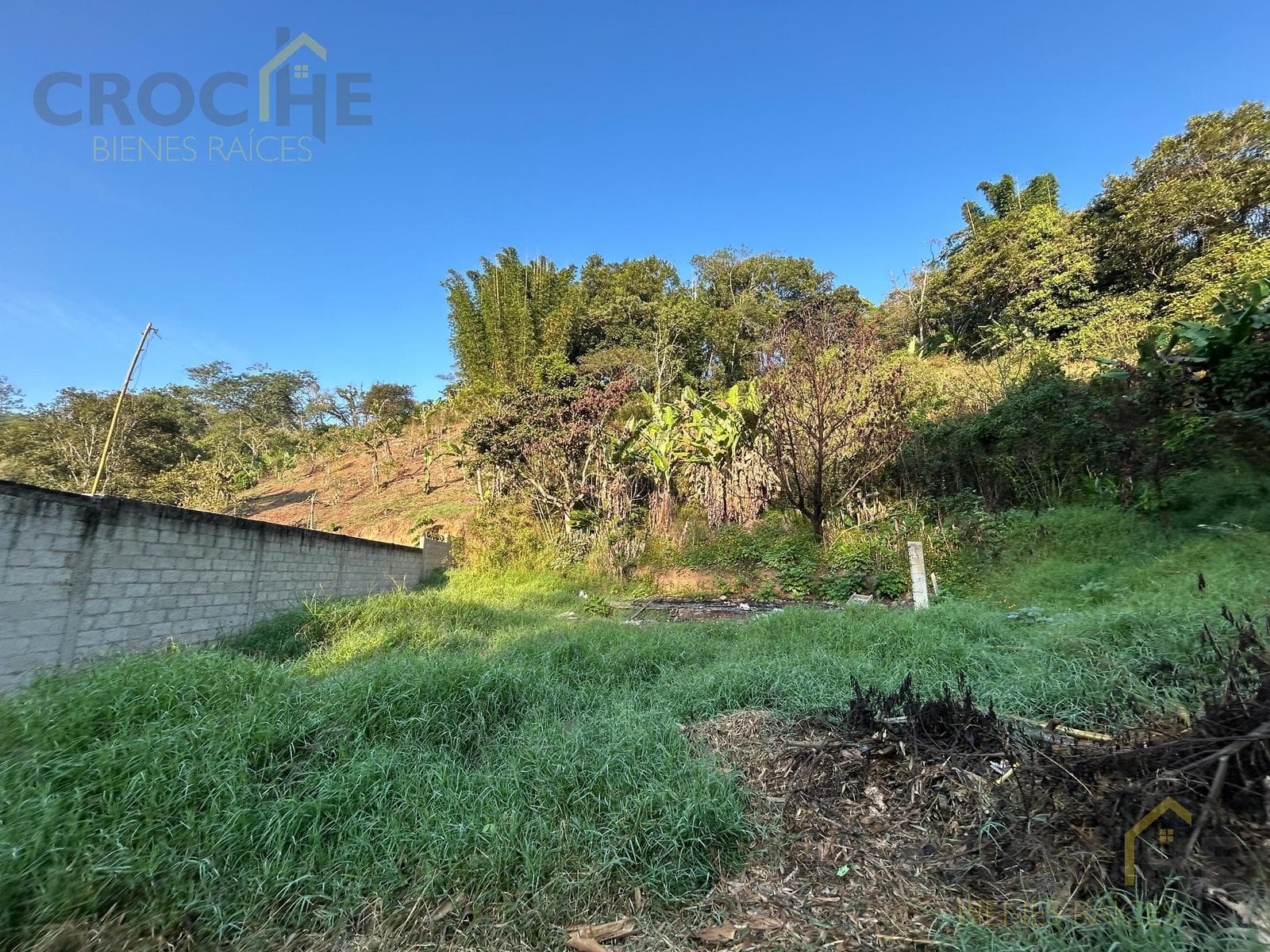 LAND FOR SALE IN THE CONSOLAPAN AREA, COATEPEC | 3,000 M2 ON THE ROAD TO CHOPANTLA